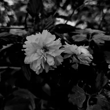 Profile image of 정이산