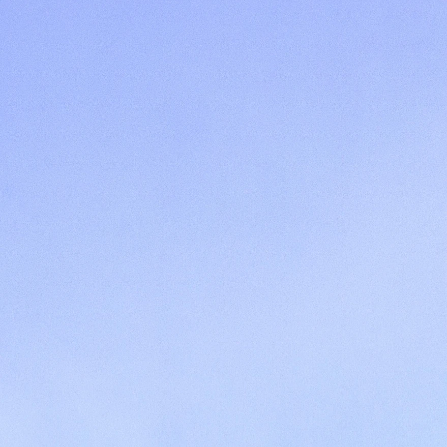 TS 아이돌