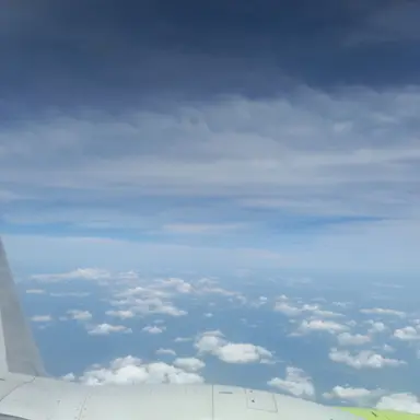 Profile image of 유기사