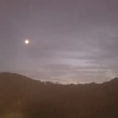 Profile image of 멜로우