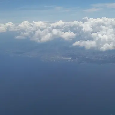 Profile image of 벨키