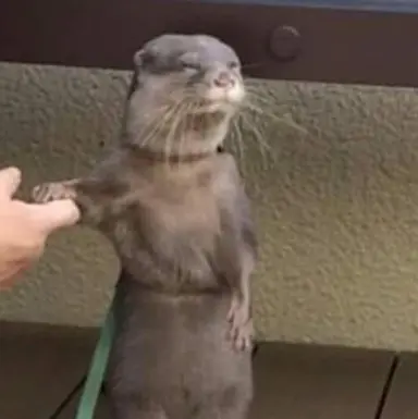 Profile image of 이경민