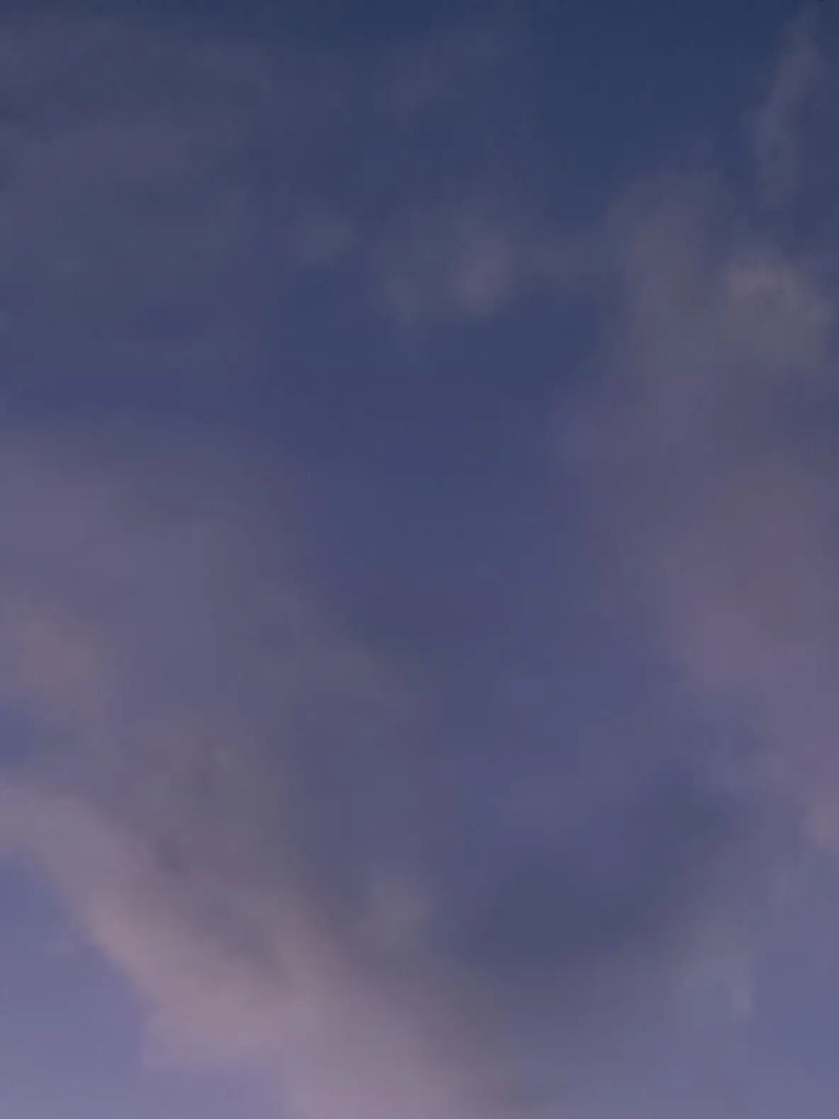 PoorCello9524의 プロポーズ