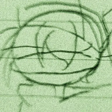 Profile image of 그린