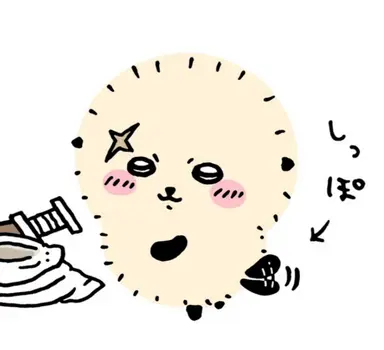 Profile image of 랏코