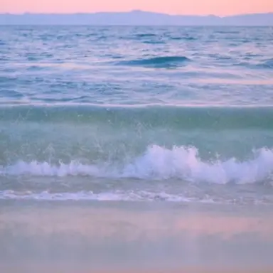 Profile image of 년여우