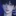 안지운
