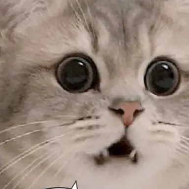 Profile image of 보건쌤 장지유