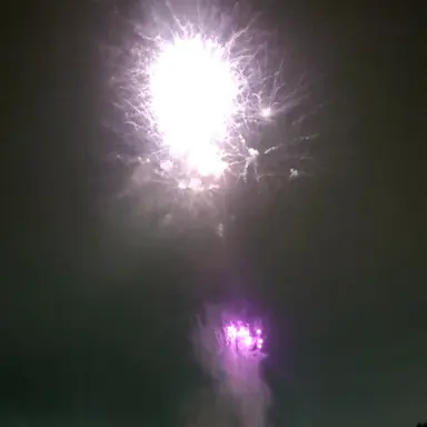 Profile image of アメリカ