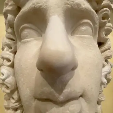 Profile image of D
