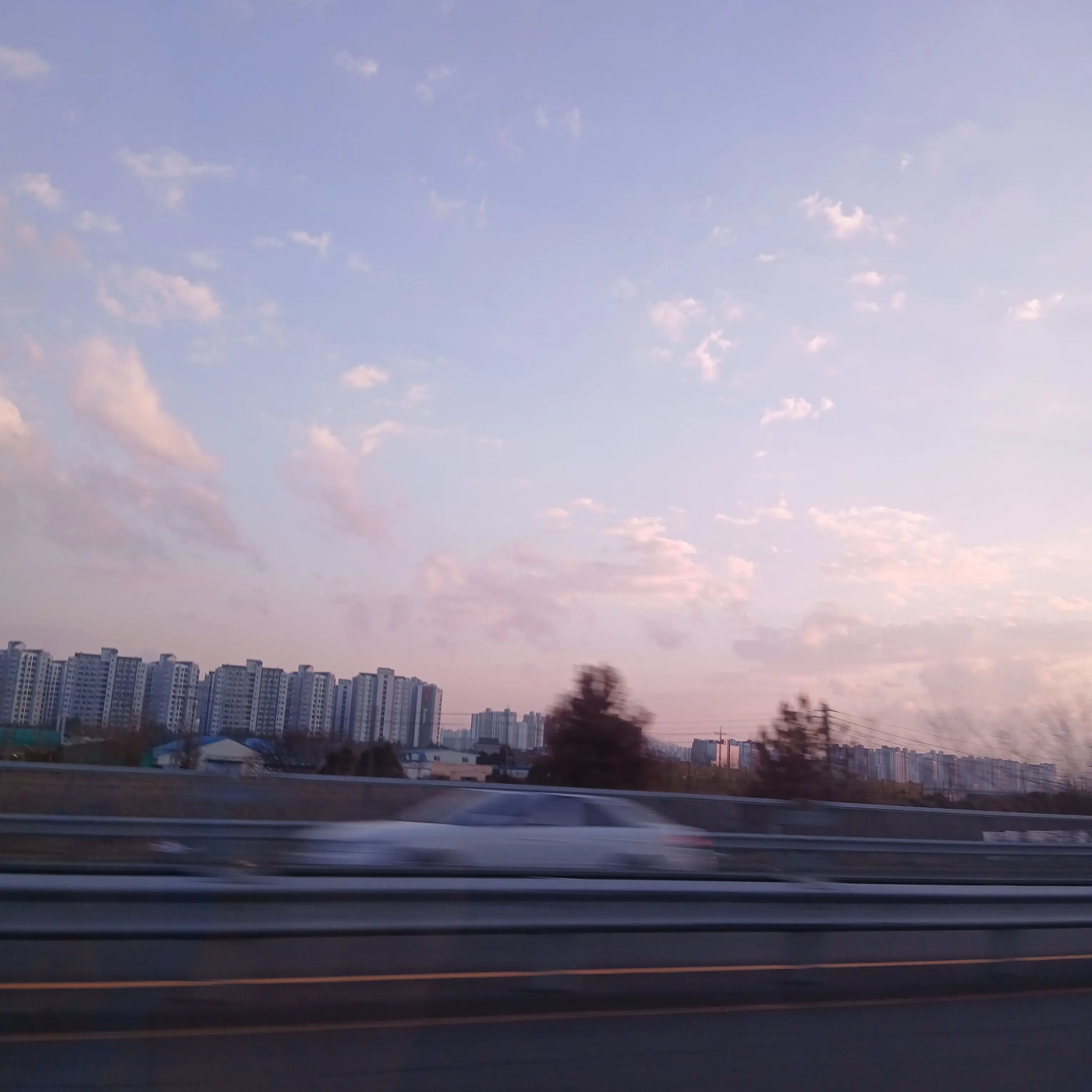 LovedLion1999의 멸종위기사랑