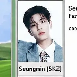 Profile image of Seungmin