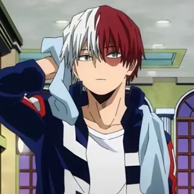 Profile image of Shoto Todoroki