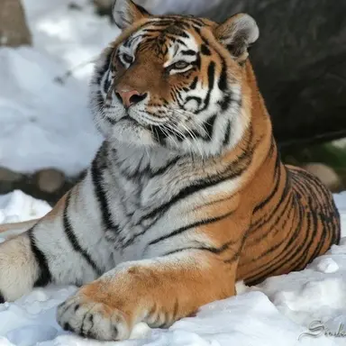 Profile image of USER