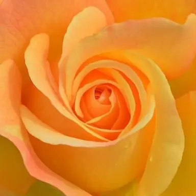 Profile image of 박덕개