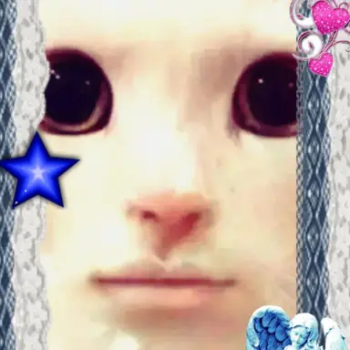 Profile image of 나