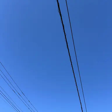 Profile image of 鴻鳥サクラ