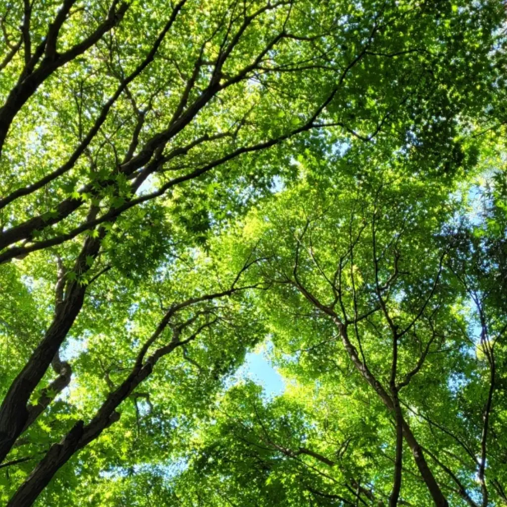 PaddedHawk6363의 냉장고를부탁해 새로운셰프되기