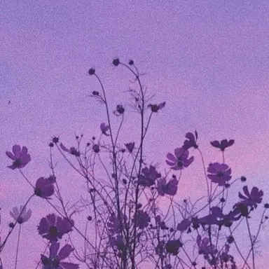 Profile image of 황수현