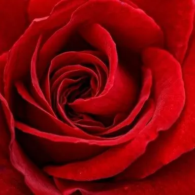 Profile image of 서라더