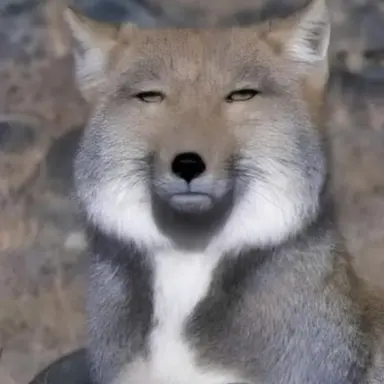 Profile image of 여우