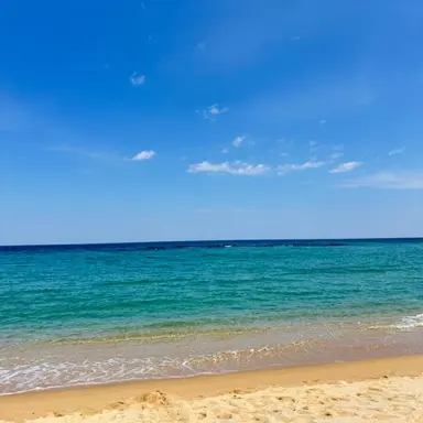 Profile image of 아르민