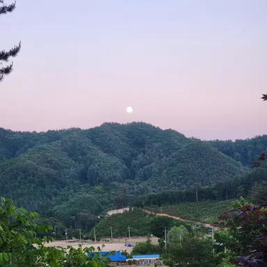 Profile image of 밥풀