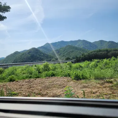 Profile image of 준브레드