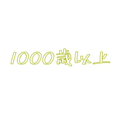 Profile image of 鶴