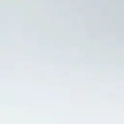 Yokd의 이상한 여우;;