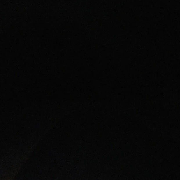 전독시