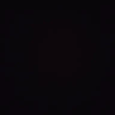 Profile image of 진현정