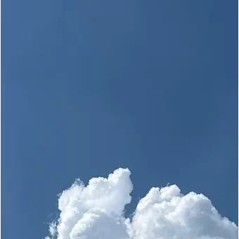 Profile image of 잠뜰