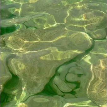 Palestty의 이세계인과불편한동거