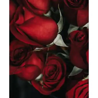 Profile image of 라더