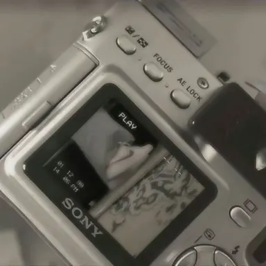 Profile image of 정 공룡