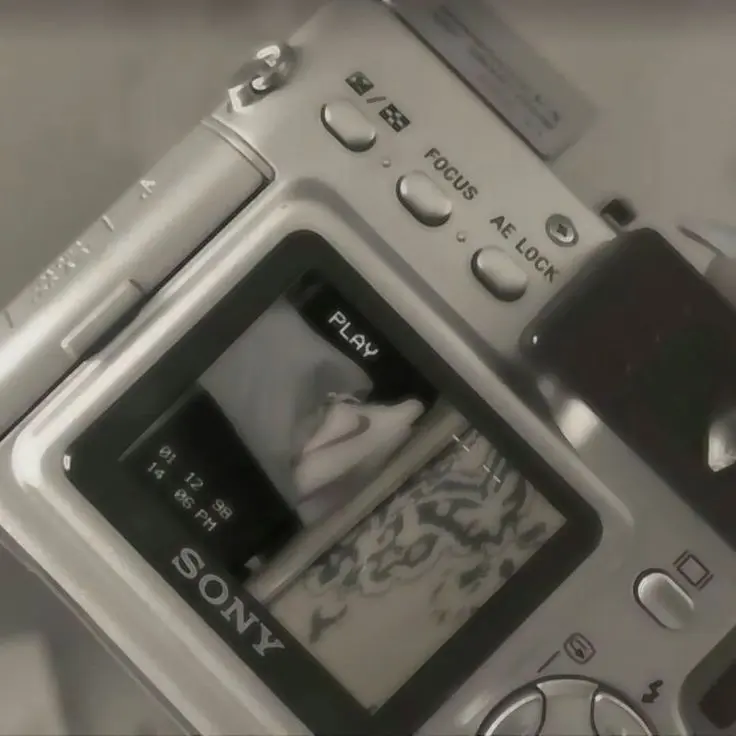 Lululala_.의 정 공룡