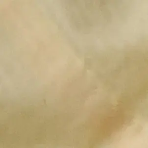 Profile image of 퓨어바닐라 쿠키