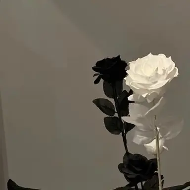 Profile image of 조태수