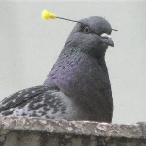 Profile image of 최강미소녀점