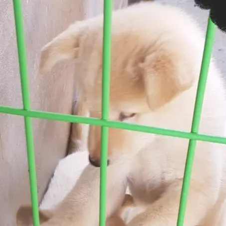 user_103929의 개빡친 진도