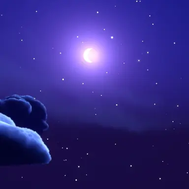 Profile image of Other Pro Heroes