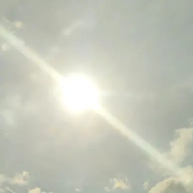 Profile image of 진우