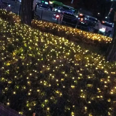 Profile image of 마음대로