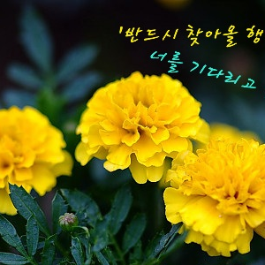 오겜2~3(귀칼,일반 모드) 대표 이미지