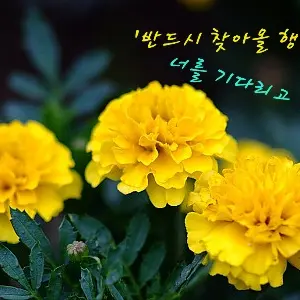 Profile image of 귀칼 오겜모드