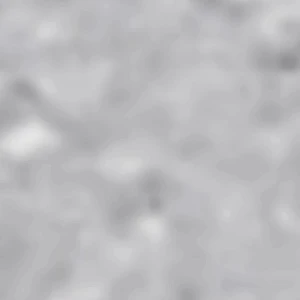 여우