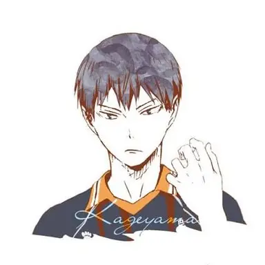 Profile image of 影山飛雄
