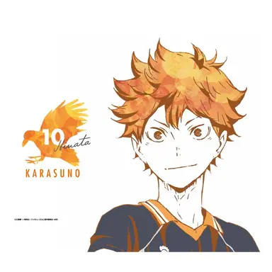Profile image of 日向翔陽