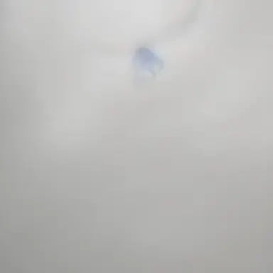 Profile image of 산